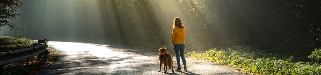 Spaziergang mit Hund auf sonniger Straße am Waldrand – eine wohltuende Auszeit bei menstrueller Migräne